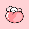 Bindoong 1
