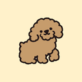 Poodle