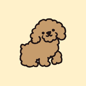 Poodle