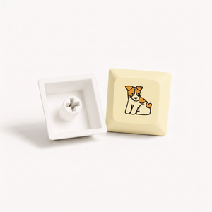 Jack Russell Terrier